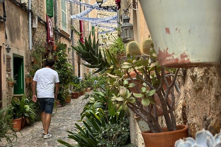 Valldemossa Tour and its Most Beautiful Viewpoints Easy Hike