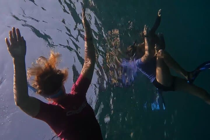 Snorkeling on the Gold Coast