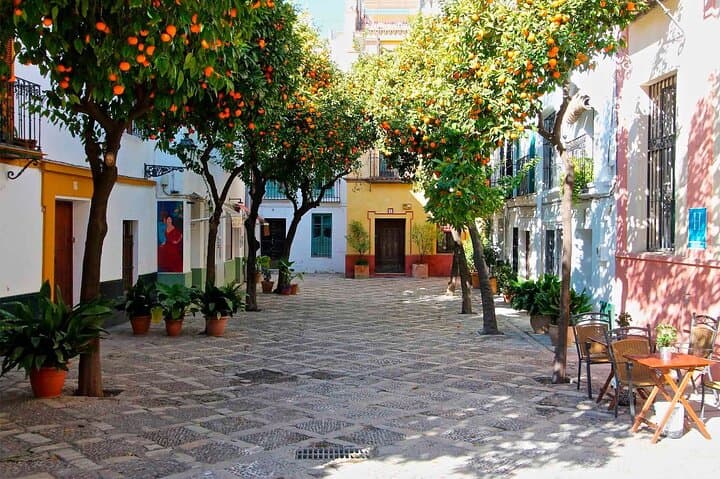 Private Seville Tour from Granada Includes Local Guide