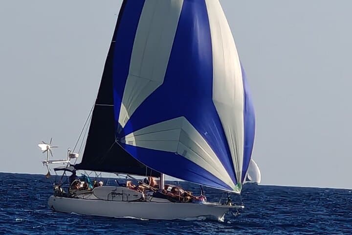 Private Sailing Adventure with snacks & drinks, snorkeling and SUP