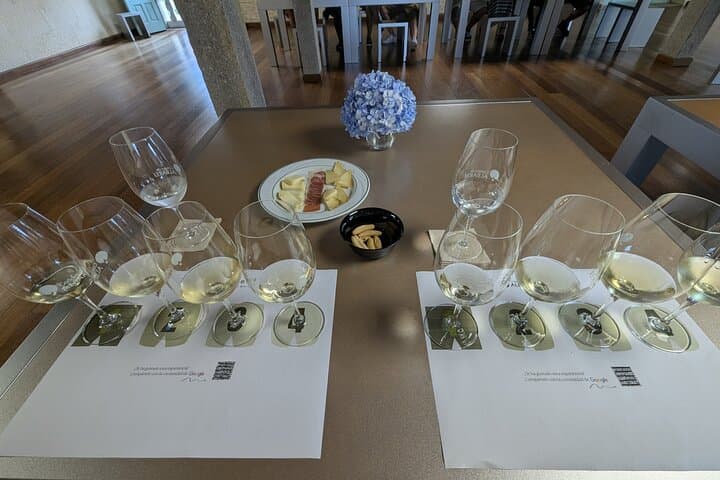 All Inclusive Private Day Trip Galicia Wine and Sightseeing Tour