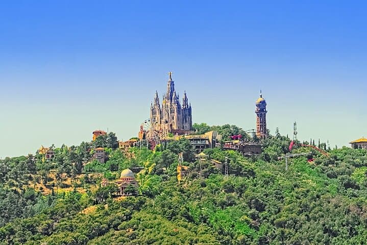 Private Customizable Group Tour of Barcelona from hotel or port