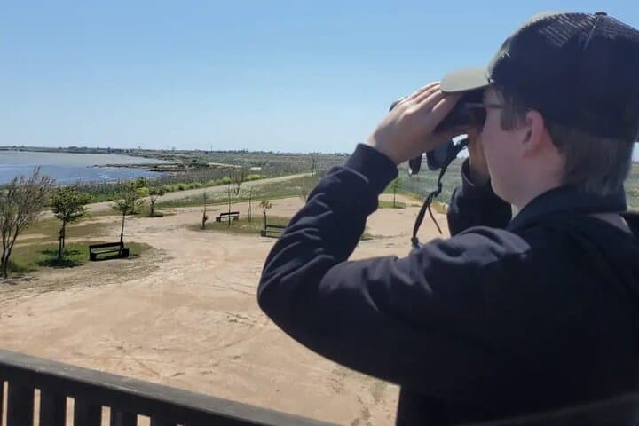 The Great Bird Show in the Ebro Delta