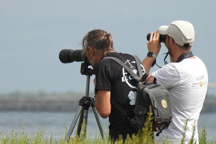 The Great Bird Show in the Ebro Delta