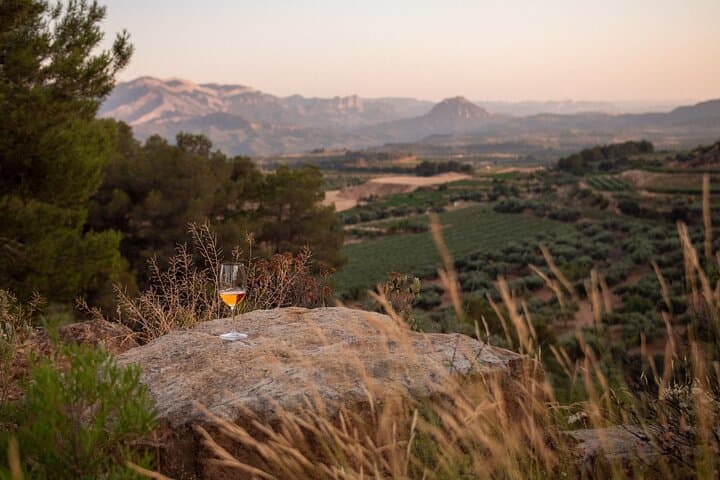Herència Altés Wine Lovers Tour Vineyard Walk and Tasting