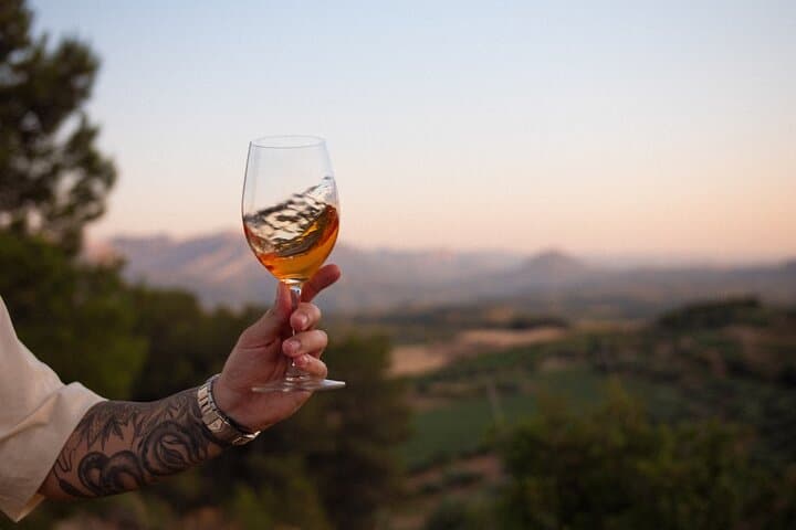 Herència Altés Wine Lovers Tour Vineyard Walk and Tasting