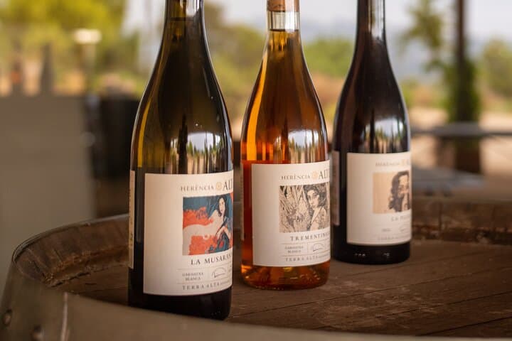 Herència Altés Wine Lovers Tour Vineyard Walk and Tasting