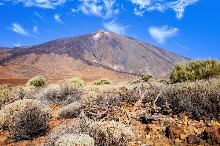 Teide National Park Safari Ride Volcano Landscapes and Wildlife