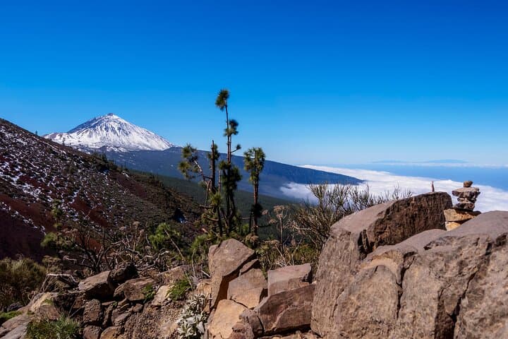 Teide National Park Safari Ride Volcano Landscapes and Wildlife