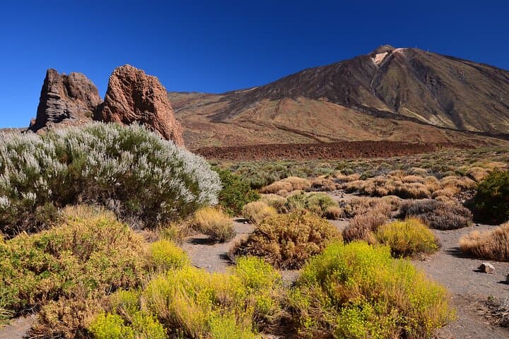 Teide National Park Safari Ride Volcano Landscapes and Wildlife