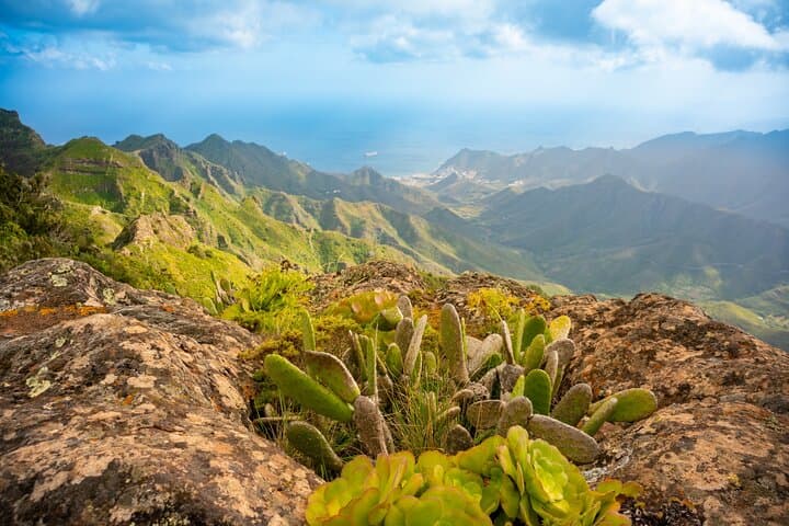 Hidden Corners of Tenerife: Taganana Candelaria and Anaga Forest