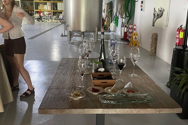 Wine Tour: Bodega Visit with Tasting and Appetizers