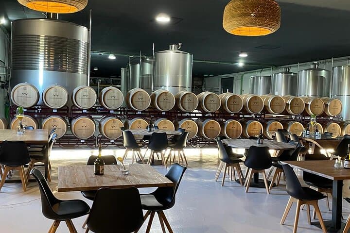 Wine Tour: Bodega Visit with Tasting and Appetizers