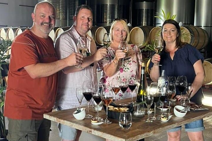 Wine Tour: Bodega Visit with Tasting and Appetizers