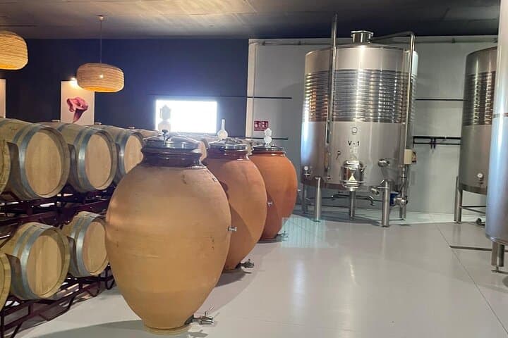 Wine Tour: Bodega Visit with Tasting and Appetizers