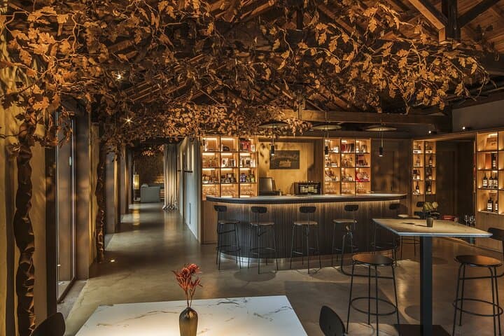 Exclusive Rioja Wine Tasting and Gourmet Lunch from Bilbao