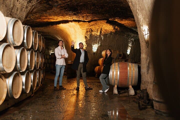 Exclusive Rioja Wine Tasting and Gourmet Lunch from Bilbao