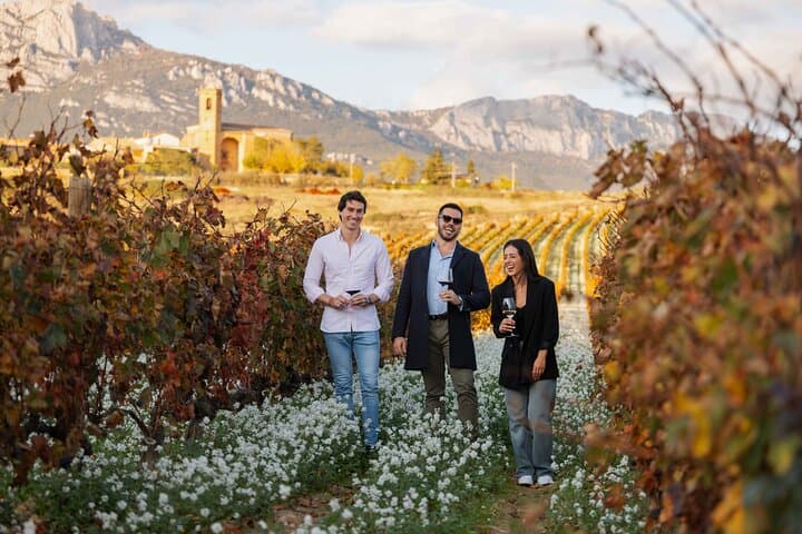 Exclusive Rioja Wine Tasting and Gourmet Lunch from Bilbao