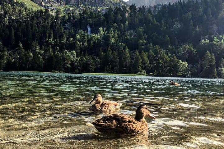 Self Drive Hiking Adventure in the Spanish Pyrenees 7 Days