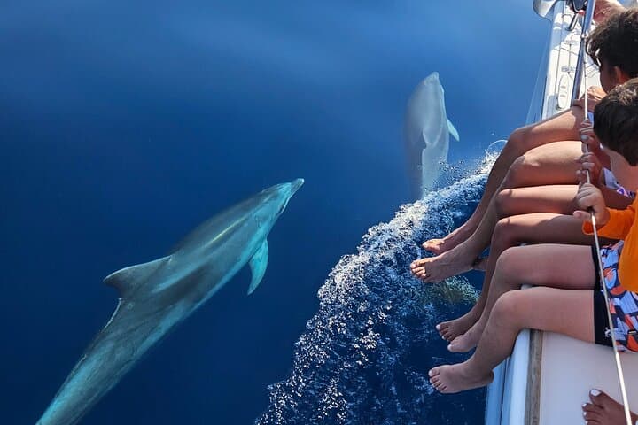 Experience sharing sailboat Marbella, dolphins, drinks ,elan 37