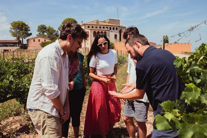 Montserrat Tour with Medieval Winery Tapas | Lunch from Barcelona