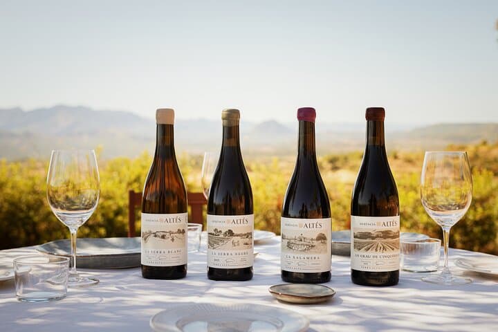 Herència Altés Wine Lovers Tour Vineyard Walk and Tasting