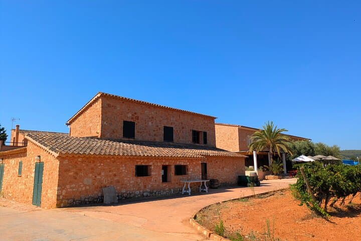 Mallorca Wine Tour Taste Local Wines in Santa Maria
