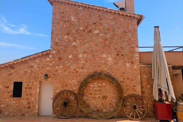 Mallorca Wine Tour Taste Local Wines in Santa Maria