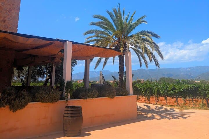 Mallorca Wine Tour Taste Local Wines in Santa Maria