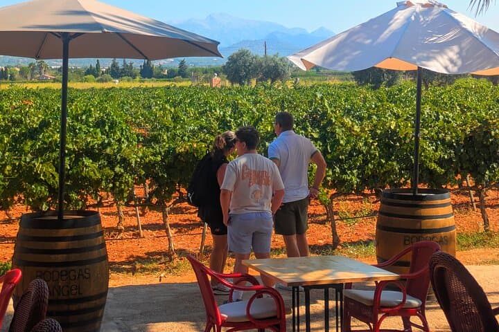 Mallorca Wine Tour Taste Local Wines in Santa Maria