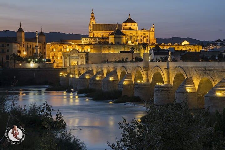Private Guided Tour of Cordoba Includes Tickets