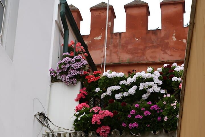 Seville Discoveries Private Walking Tour