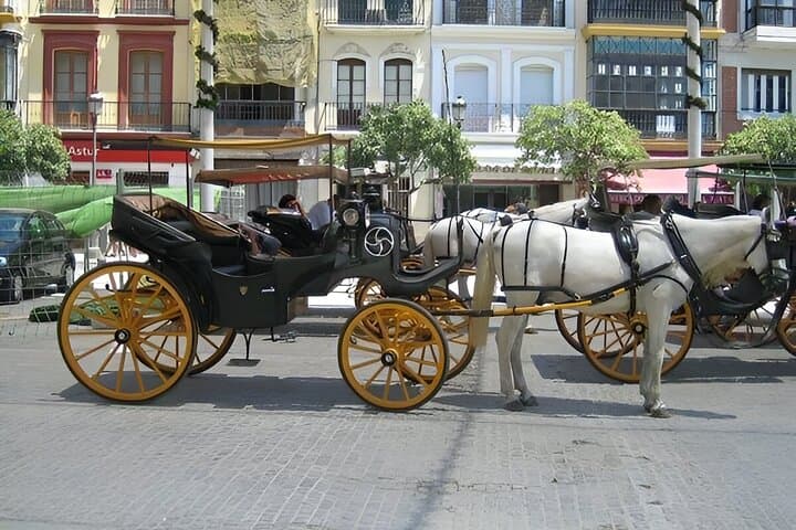 horse-carriage-sevilla