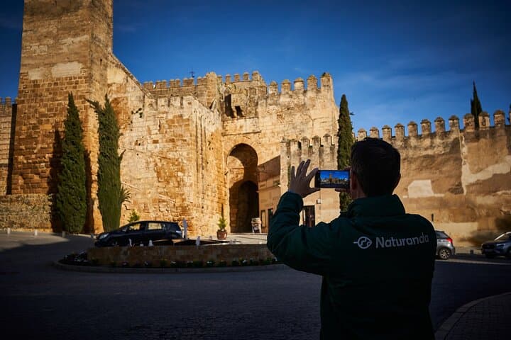 Carmona and Necropolis: Guided Day Tour from Seville