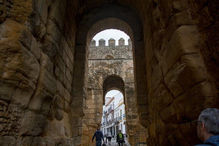 Carmona and Necropolis: Guided Day Tour from Seville