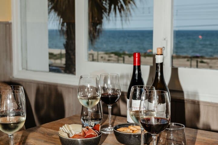 Barcelona Maresme Natrual Wine Tasting Sea view