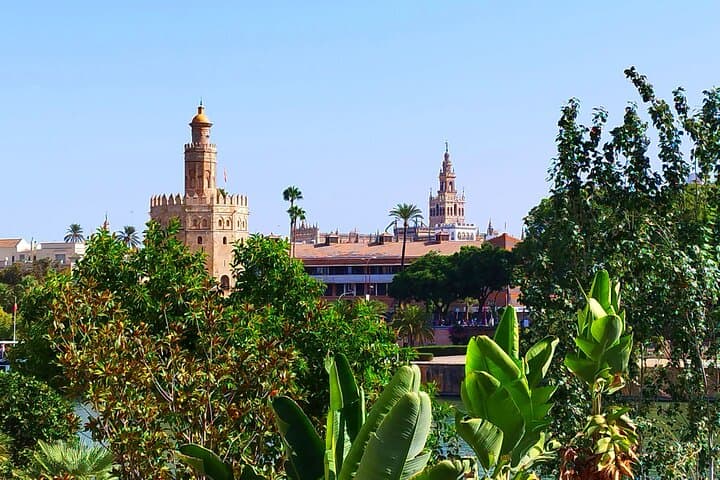 Seville Walking Tour Stories by a Local Guide