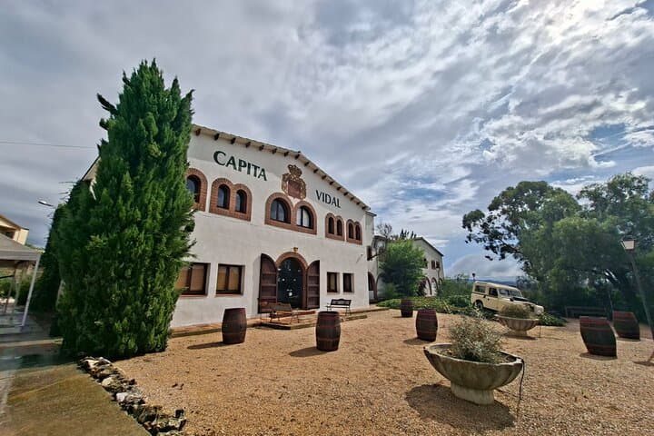 Montserrat & Sitges Personalised Private Tour from Barcelona