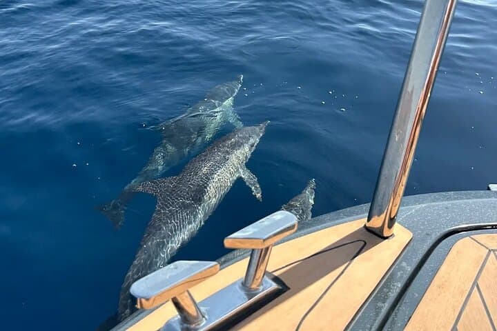 1H Private Boat Charter Experience in Estepona