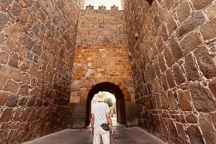 Travel through Segovia and Avila in a Small Group from Madrid