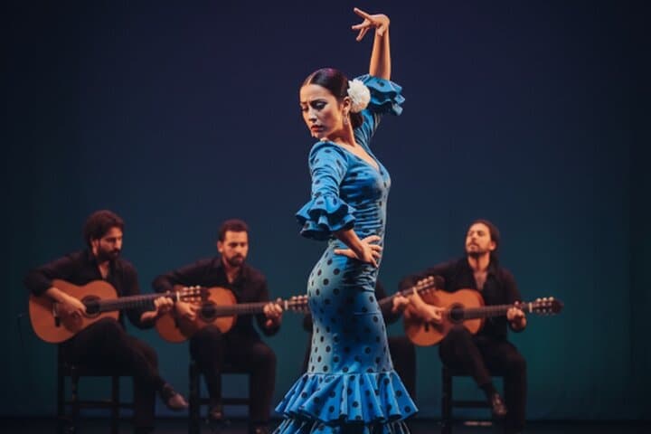 Flamenco Show in Central Seville with Awarded Artists
