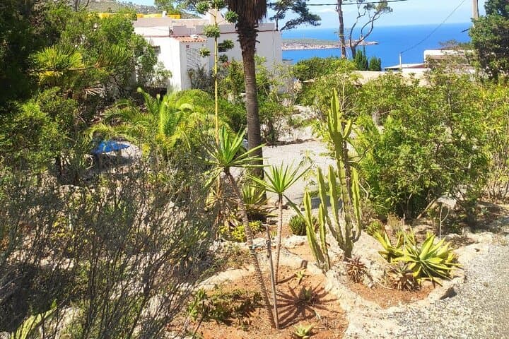 Ibiza Hidden Beaches Tour: Secluded Shores, Art place and Markets