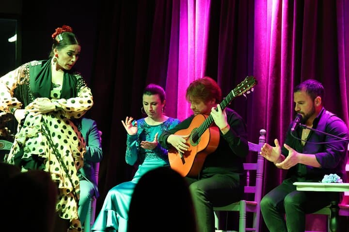 Vibrant Flamenco Show and Tapas Menu in Alicante