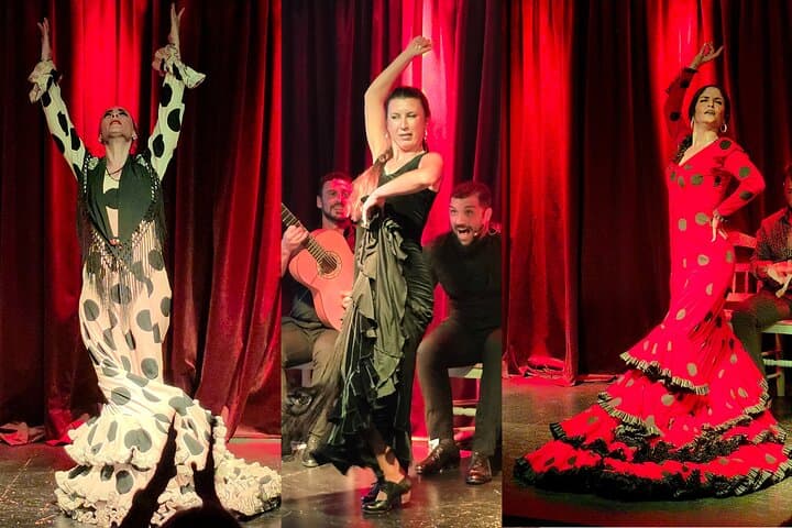 Vibrant Flamenco Show and Tapas Menu in Alicante