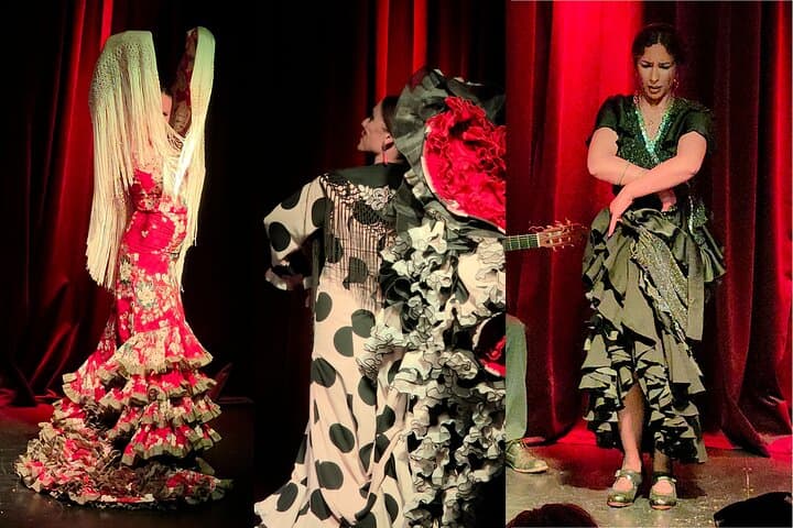 Vibrant Flamenco Show and Tapas Menu in Alicante