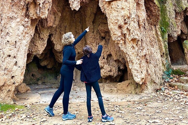 Explore the Stone Monastery and the Kingdom of Aragon from Madrid