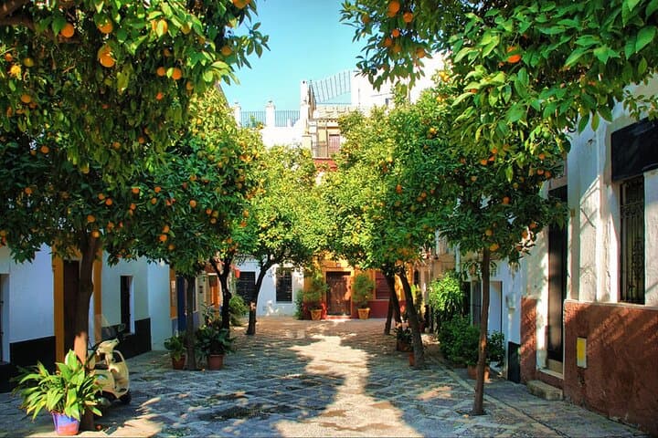 Seville: guided tour of Alcazar, Cathedral, Giralda and Santa Cruz