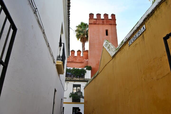 Seville: guided tour of Alcazar, Cathedral, Giralda and Santa Cruz