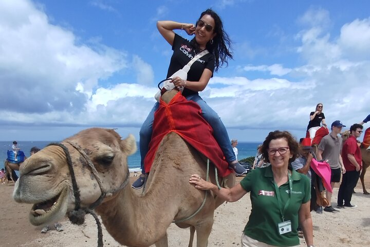 Morocco 4 Day Adventure from Seville
