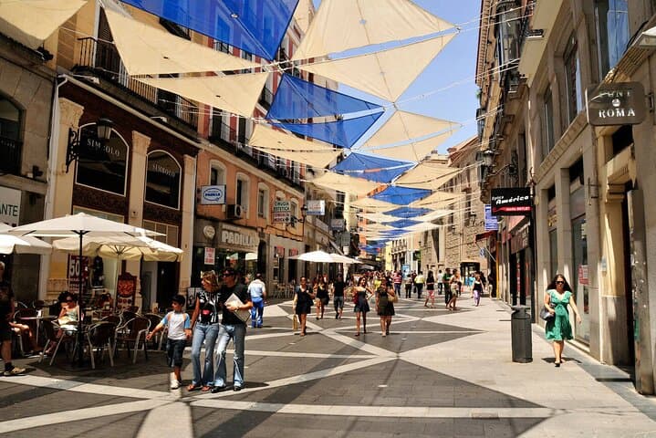 Private Madrid History and Highlights Walking Tour